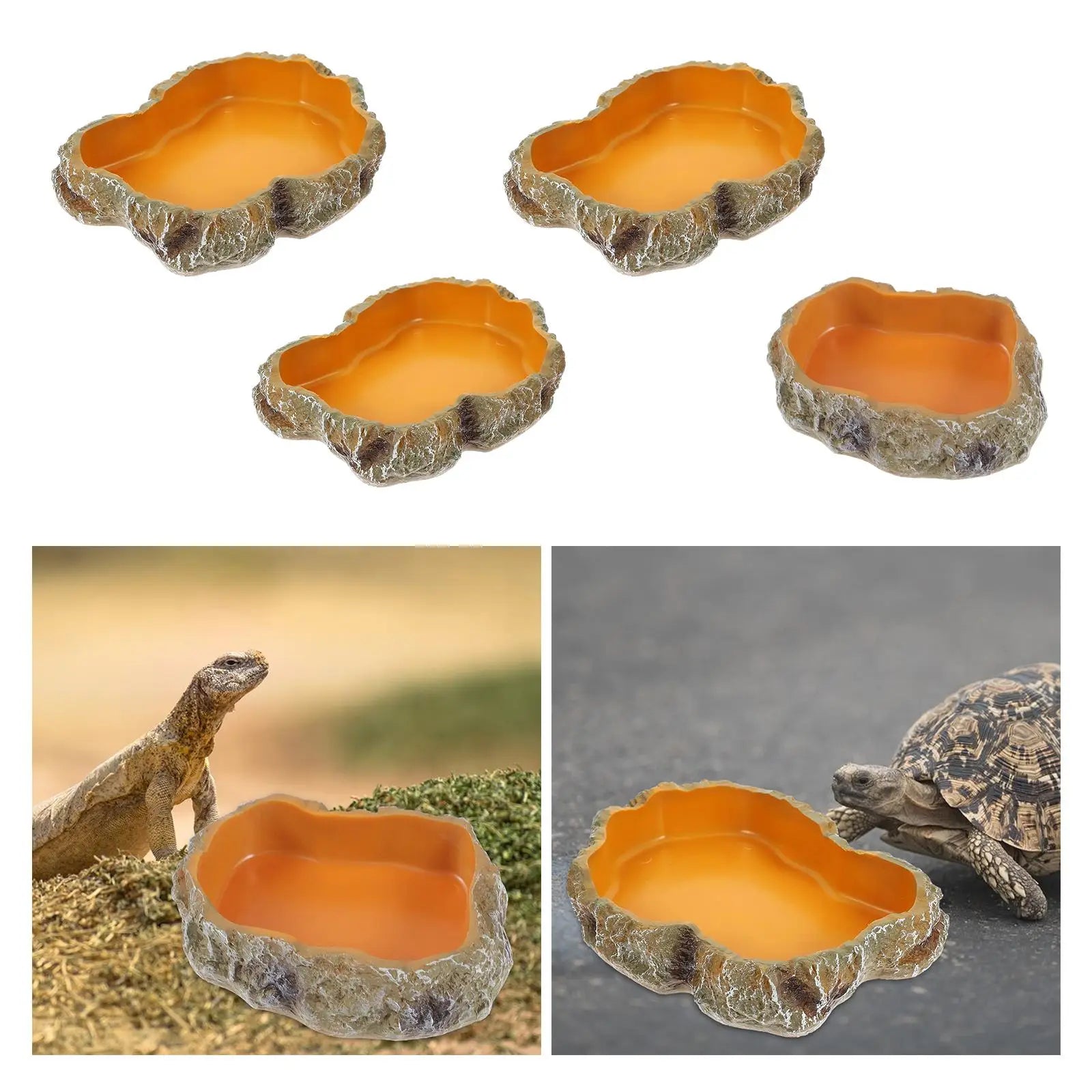 Reptile Water Bowl — Terrarium Feeding Dish for Frogs, Chameleons & Tortoises