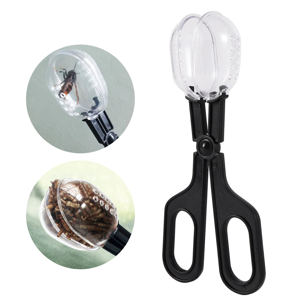 Reptile Feeding Tongs — Plastic Tweezers for Lizards, Frogs & Spiders