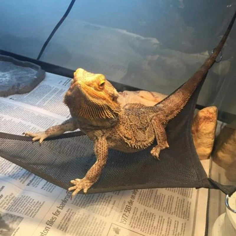 Reptile Hammock & Ladder Set — Lounging Accessories for Bearded Dragons & Geckos