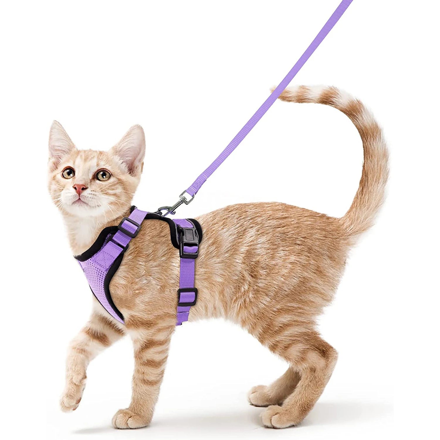 Escape-Proof Cat Harness & Leash Set — Soft Adjustable Vest for Easy Control
