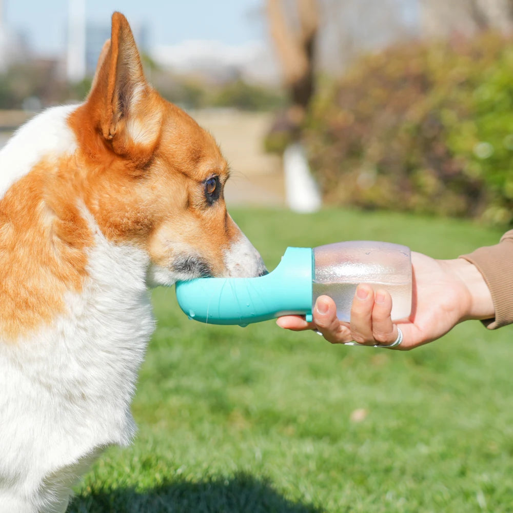 Portable Pet Water Bottle — 300ML Travel Drinking Bowl for Dogs & Cats