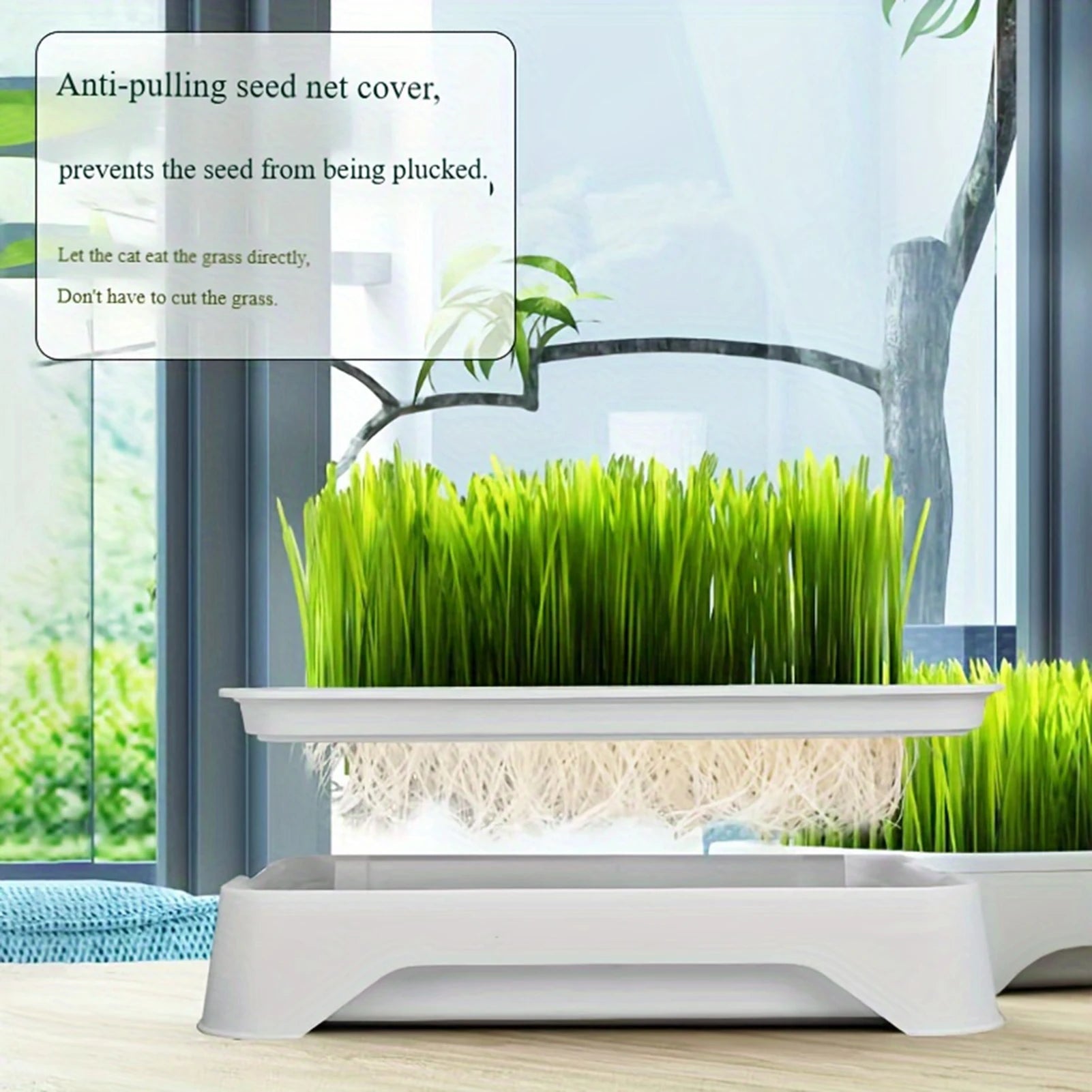 Cat Grass Planting Basin — Soilless Hydroponic Wheatgrass Pot