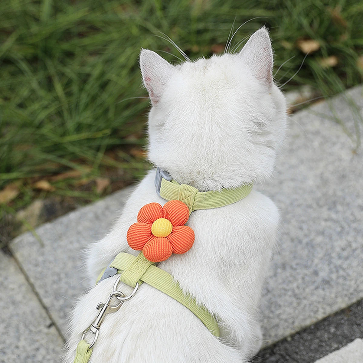 Cat & Dog Harness and Leash Set — Adjustable Breathable Walking Harness