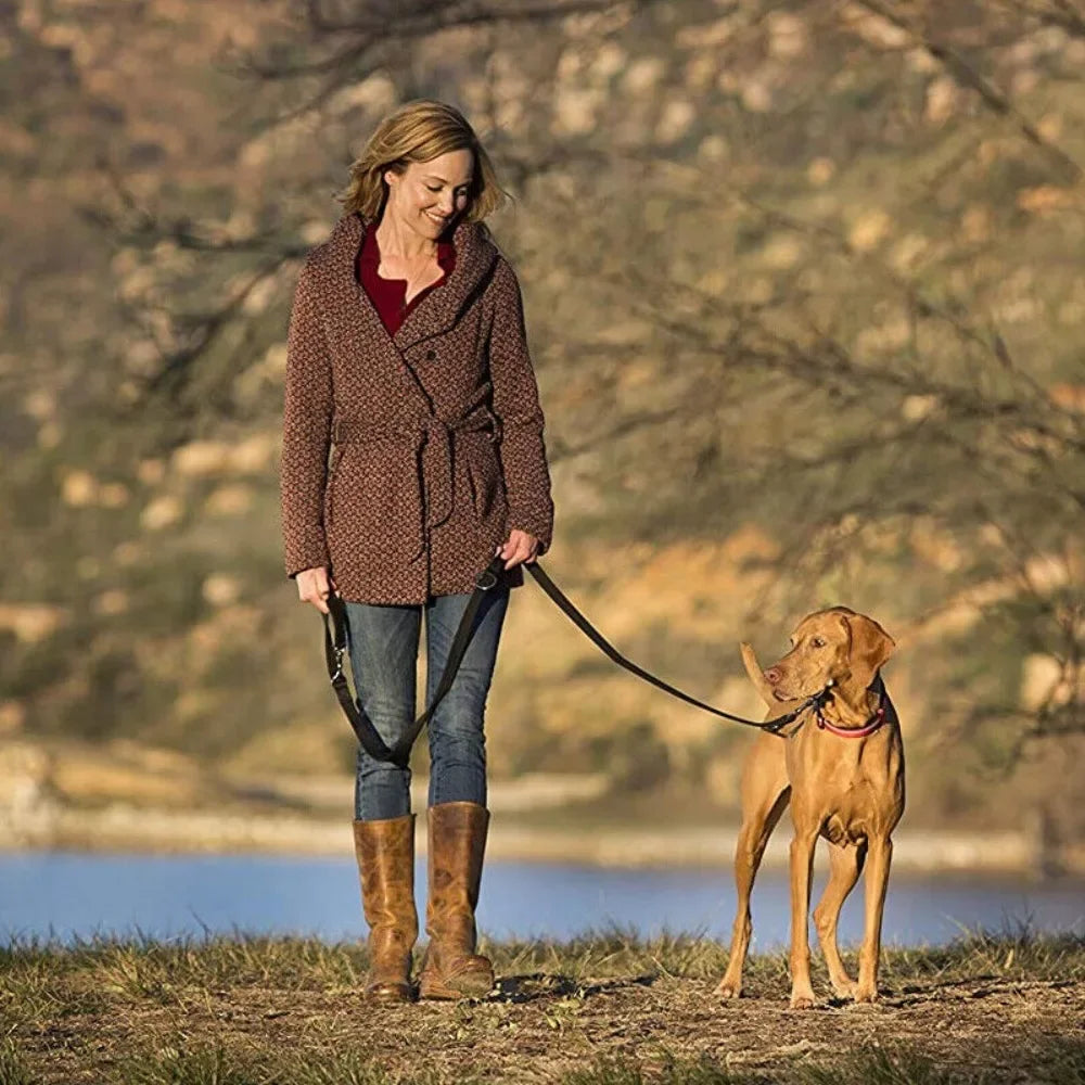 Double-Ended Training Leash — Adjustable Chain-Style Dog Lead