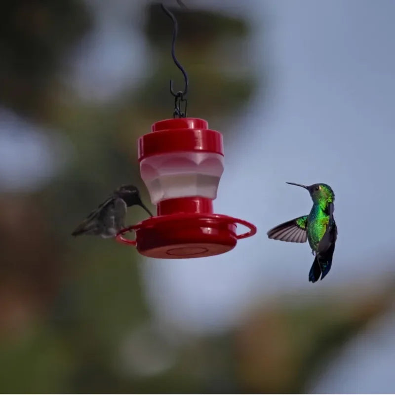 Hummingbird Feeder — Metal Tray Feeder with 8 Feeding Ports for Outdoor Gardens