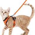 Escape-Proof Cat Harness & Leash Set — Soft Adjustable Vest for Easy Control