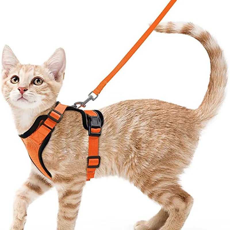 Escape-Proof Cat Harness & Leash Set — Soft Adjustable Vest for Easy Control