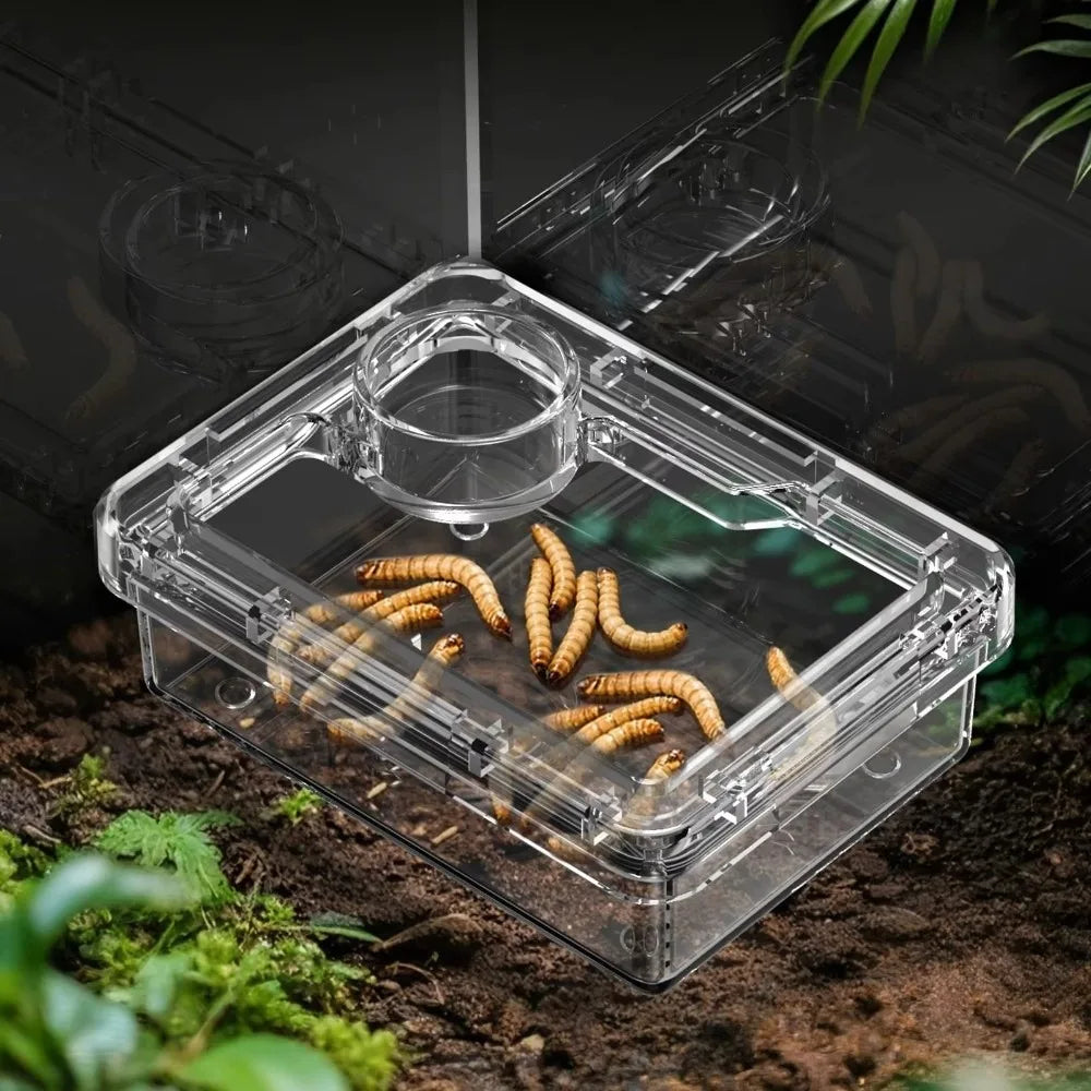 Anti-Overturn Reptile Feeding Trough — Live Feed Bowl for Lizards & Geckos