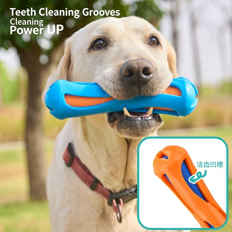 Elastic Water Float Toy — Chew-Proof Swimming Fetch Toy for Dogs