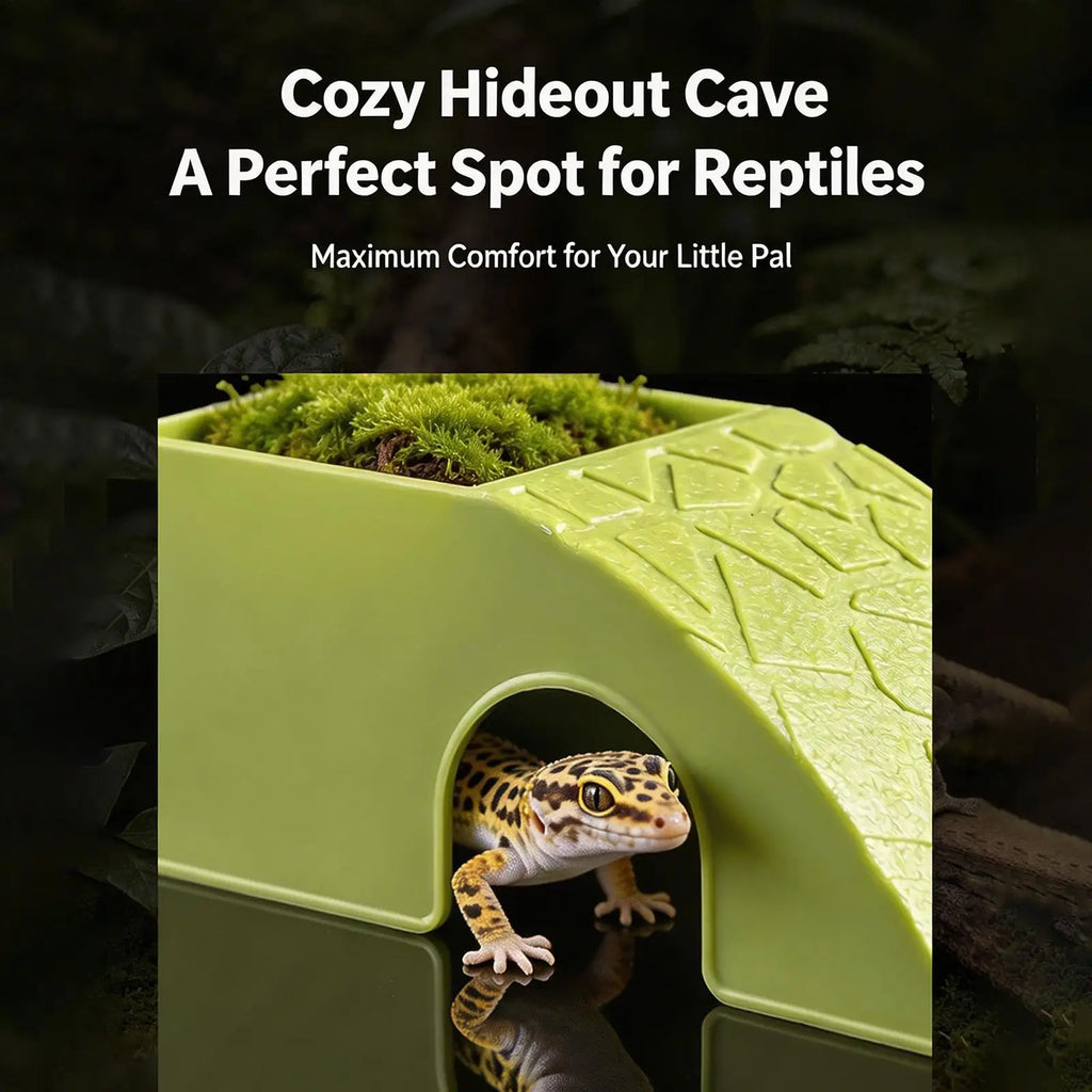 2-in-1 Reptile Hideout Bowl — Decorative Shelter & Water Dish for Geckos & Frogs