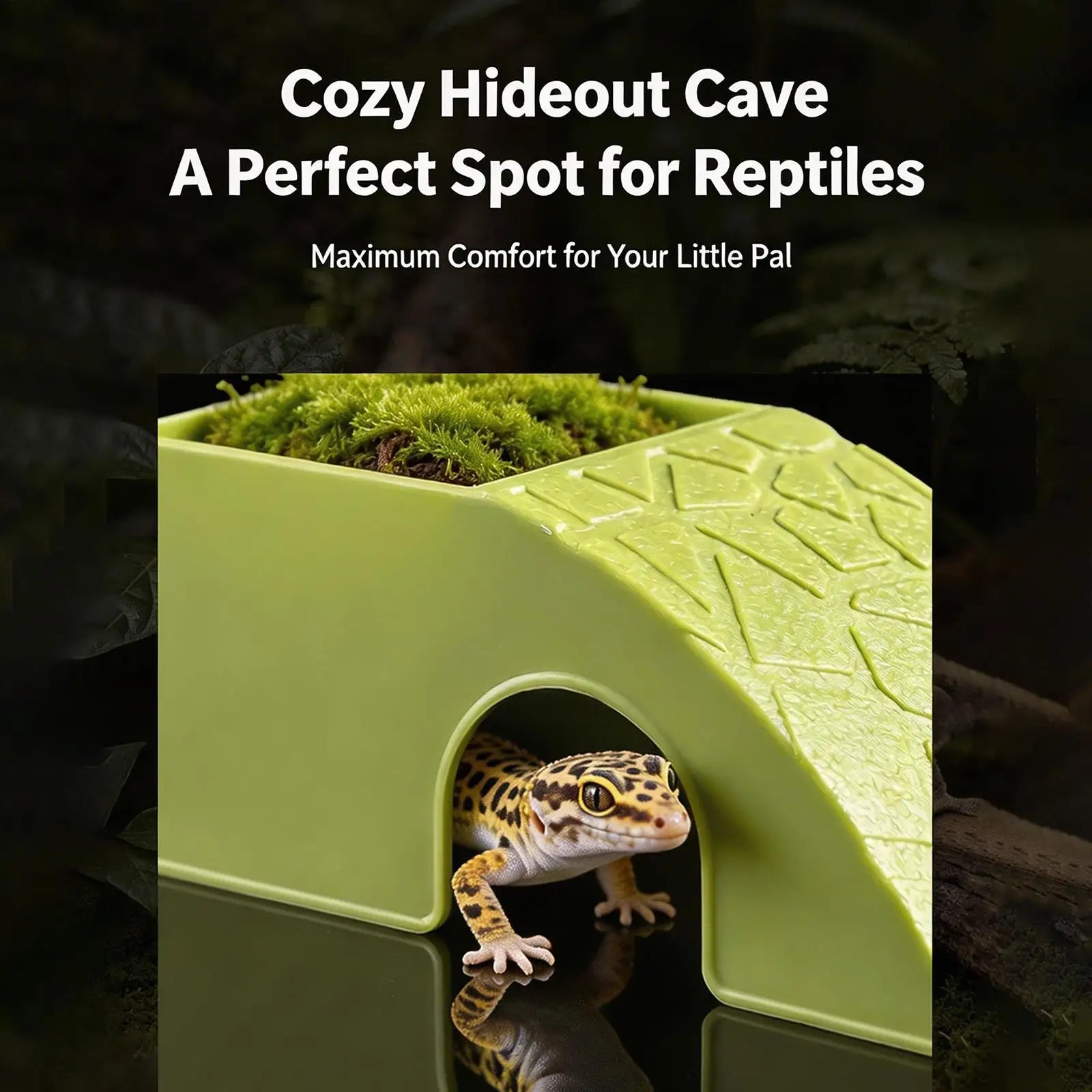 2-in-1 Reptile Hideout Bowl — Decorative Shelter & Water Dish for Geckos & Frogs