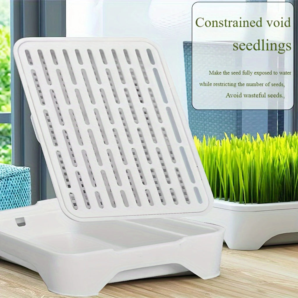 Cat Grass Planting Basin — Soilless Hydroponic Wheatgrass Pot