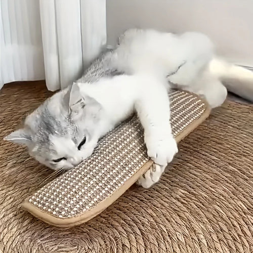 Chew-Resistant Cat Pillow & Scratching Pad — Soft Teething Bed Cover