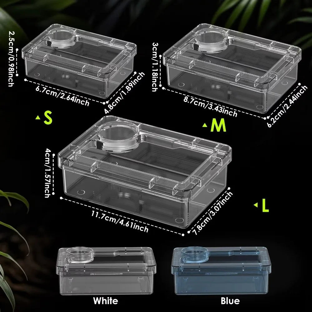 Anti-Overturn Reptile Feeding Trough — Live Feed Bowl for Lizards & Geckos