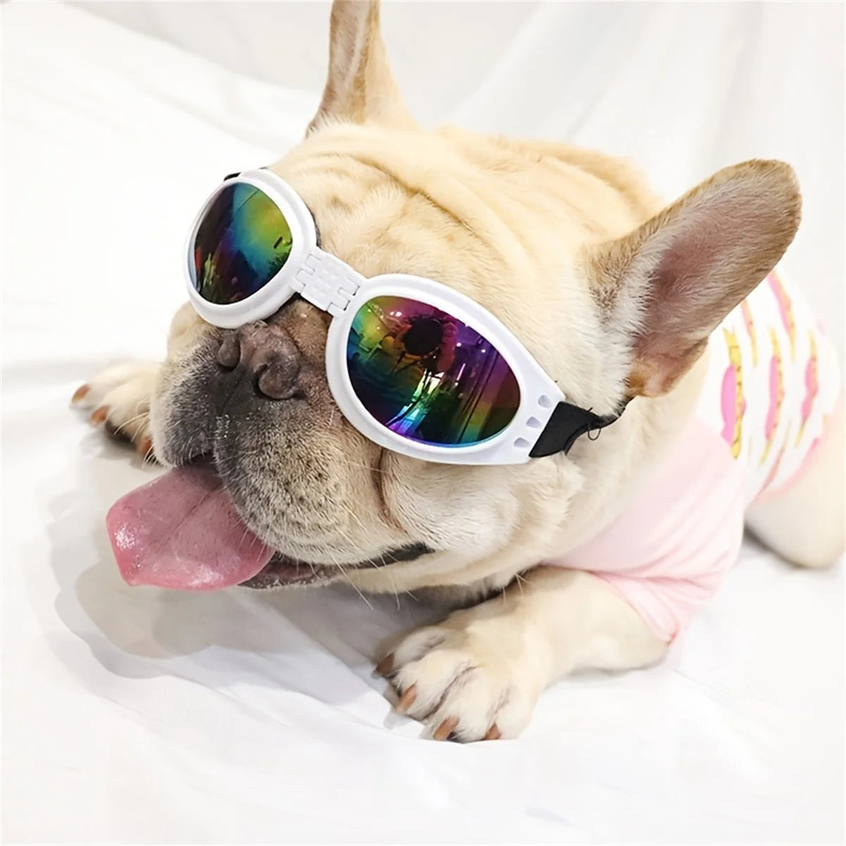 Adjustable Dog Goggles — UV Protection Sunglasses for Outdoor Dogs