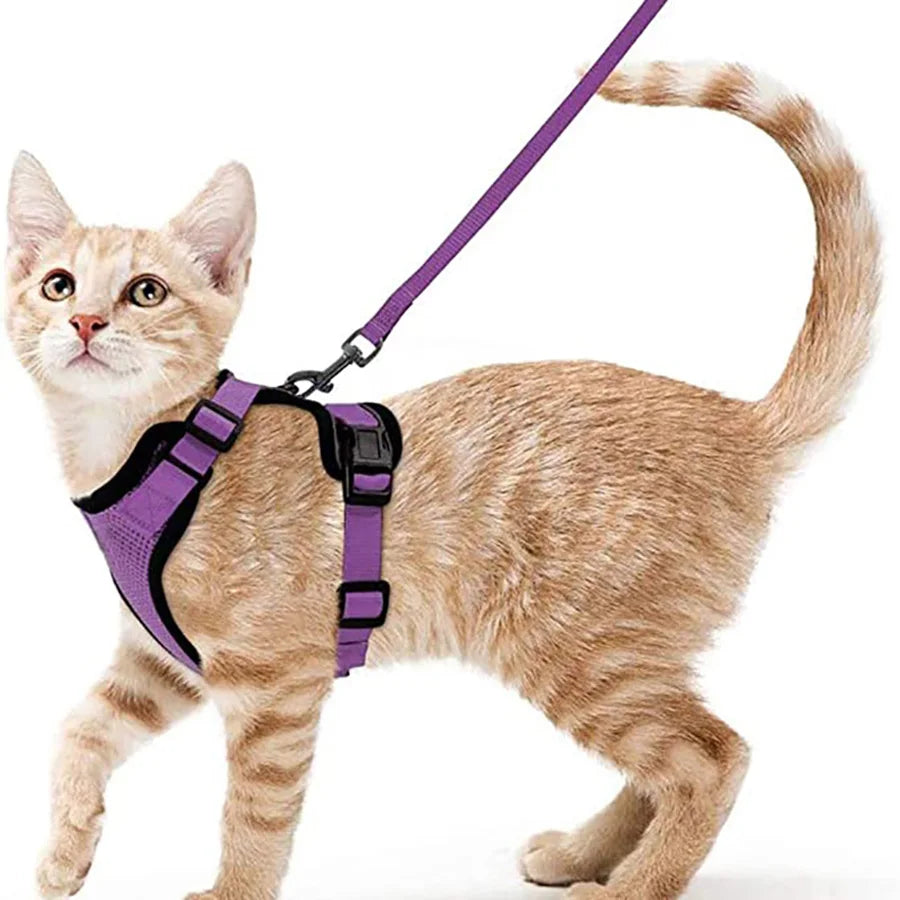 Escape-Proof Cat Harness & Leash Set — Soft Adjustable Vest for Easy Control