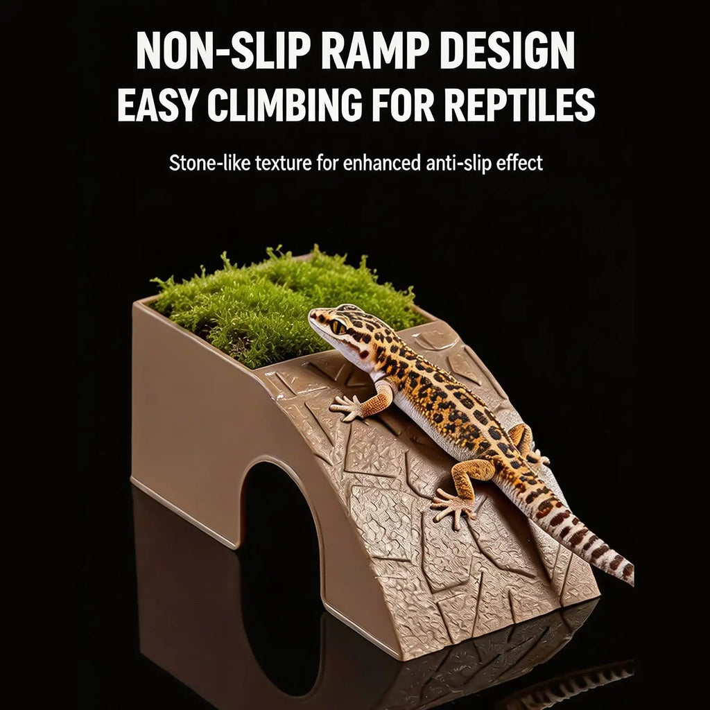 2-in-1 Reptile Hideout Bowl — Decorative Shelter & Water Dish for Geckos & Frogs
