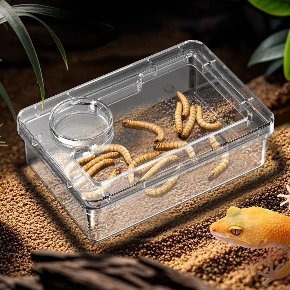 Anti-Overturn Reptile Feeding Trough — Live Feed Bowl for Lizards & Geckos
