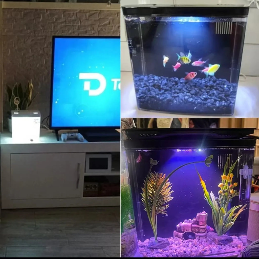 Self-Circulating Goldfish Tank — Tabletop Aquarium with Optional Heater
