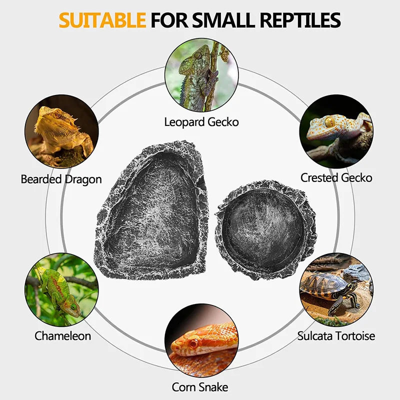 Stone-Texture Reptile Bowl — Food & Water Dish for Bearded Dragons