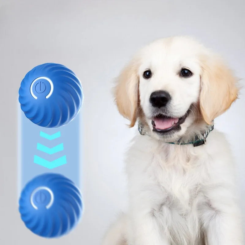 Smart Jumping Dog Ball — USB Rechargeable Rotating Chew Toy