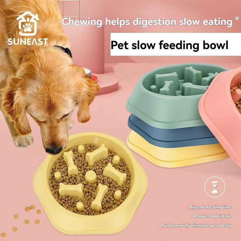 Slow Feeder Dog Bowl — Anti-Gulping Eco-Friendly Feeding Bowl