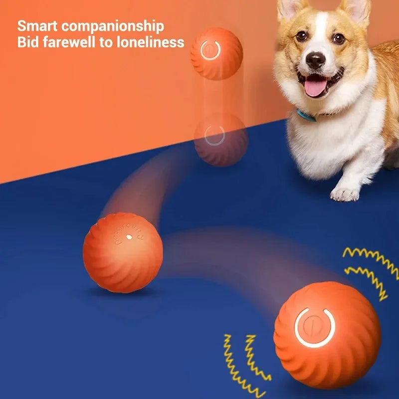 USB Rechargeable Bouncing Dog Ball — Automatic Interactive Chew Toy