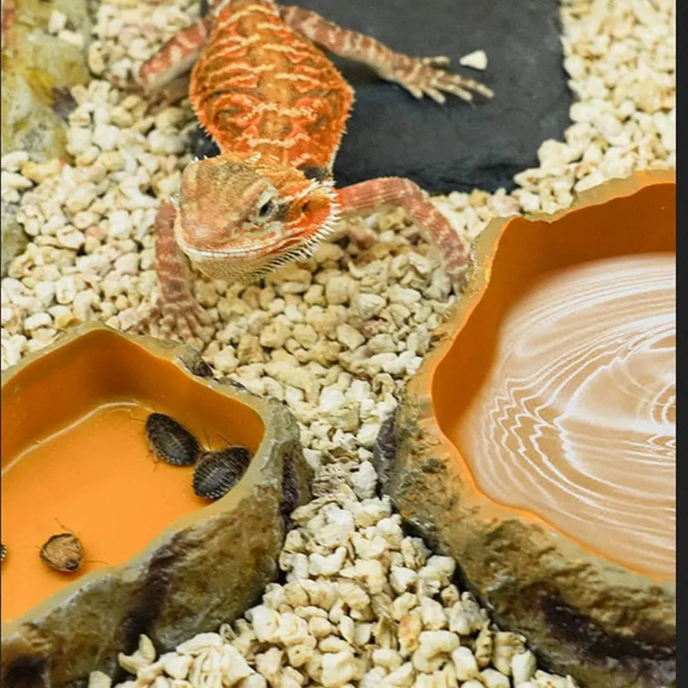 Resin Rock Worm & Water Bowl — Reptile Feeder Dish for Lizards & Snakes, S/M/L
