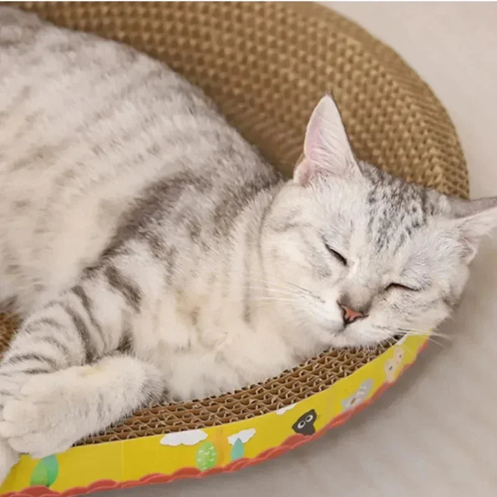 Corrugated Cardboard Cat Scratcher — Oval Scratching Pad in Fun Shapes