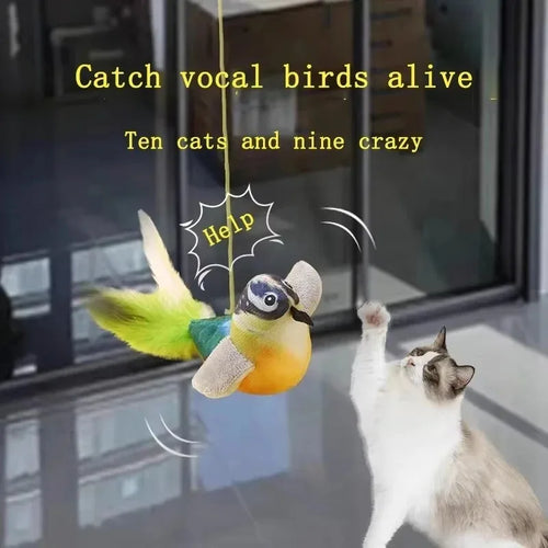 Bird Sound Cat Toy — Elastic Rope Teaser for Scratching & Biting Relief
