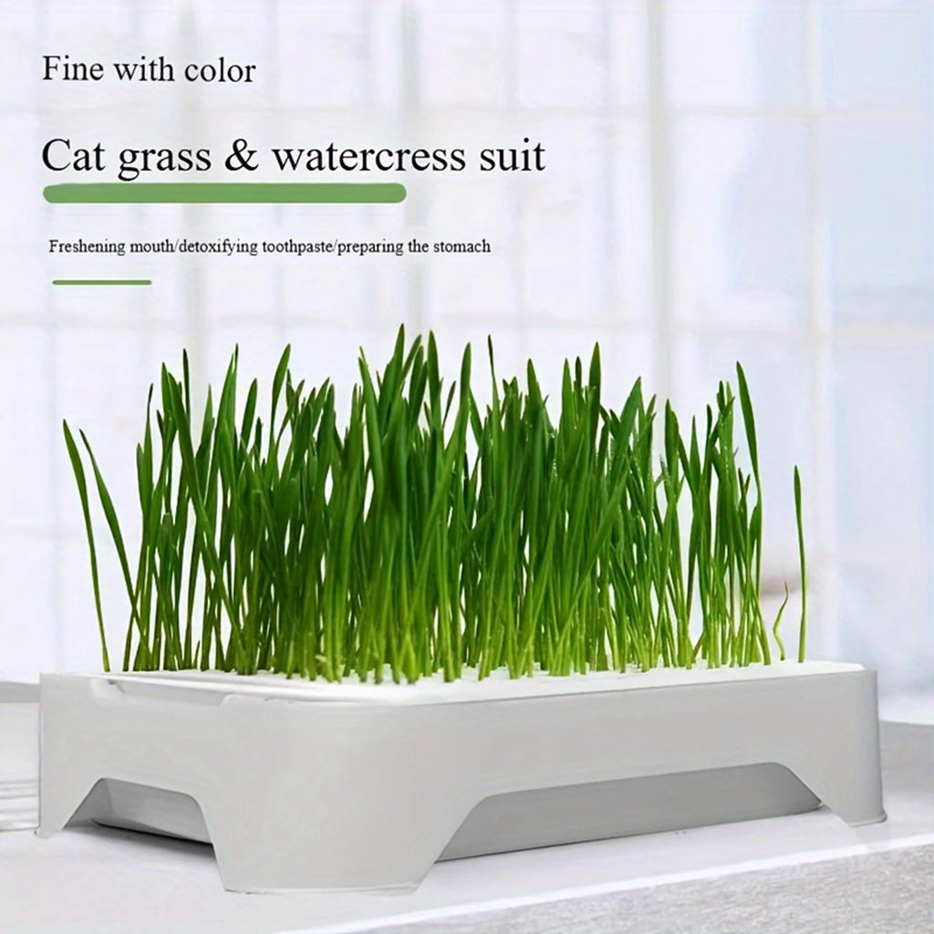 Cat Grass Planting Basin — Soilless Hydroponic Wheatgrass Pot