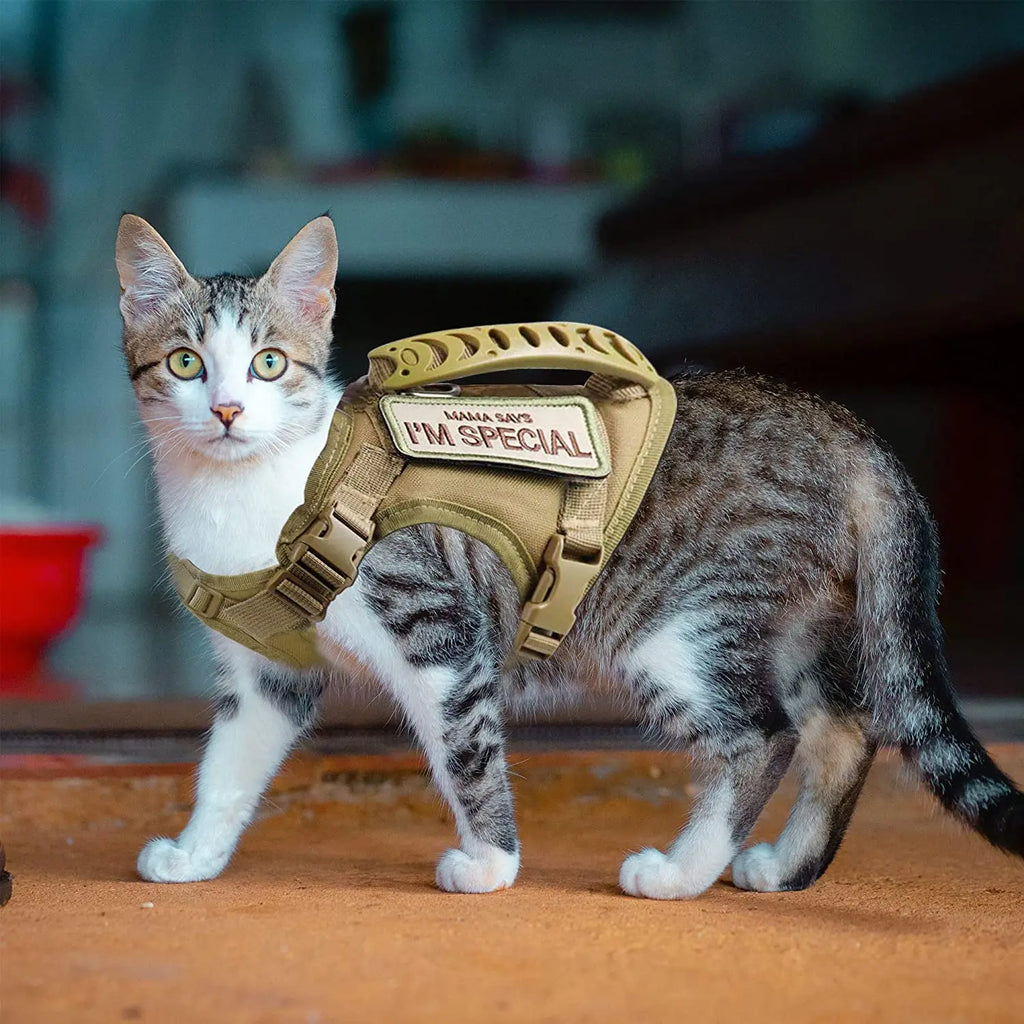 Tactical Cat & Dog Harness — Escape-Proof Vest with Control Handle