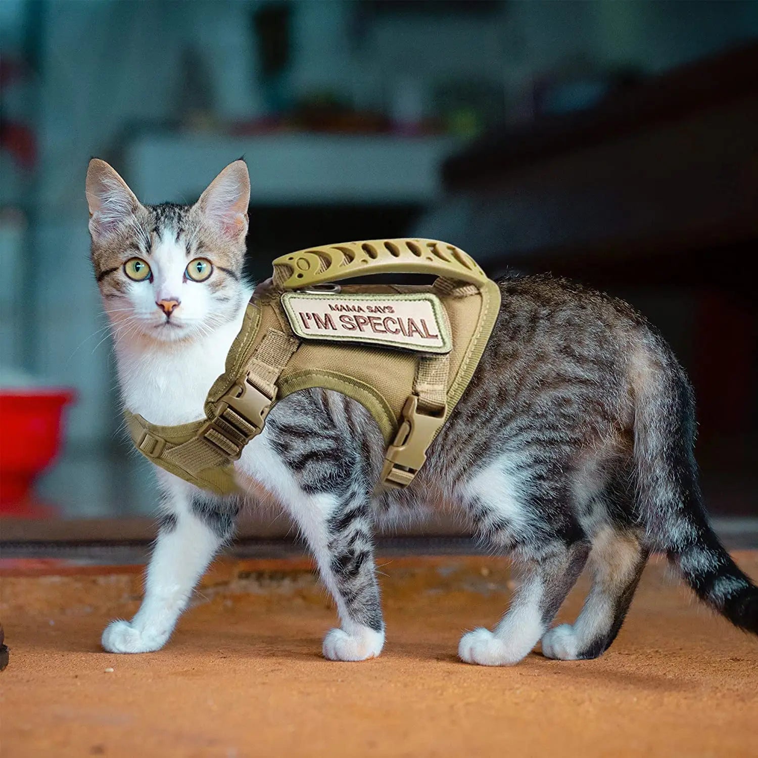 Tactical Cat & Dog Harness — Escape-Proof Vest with Control Handle