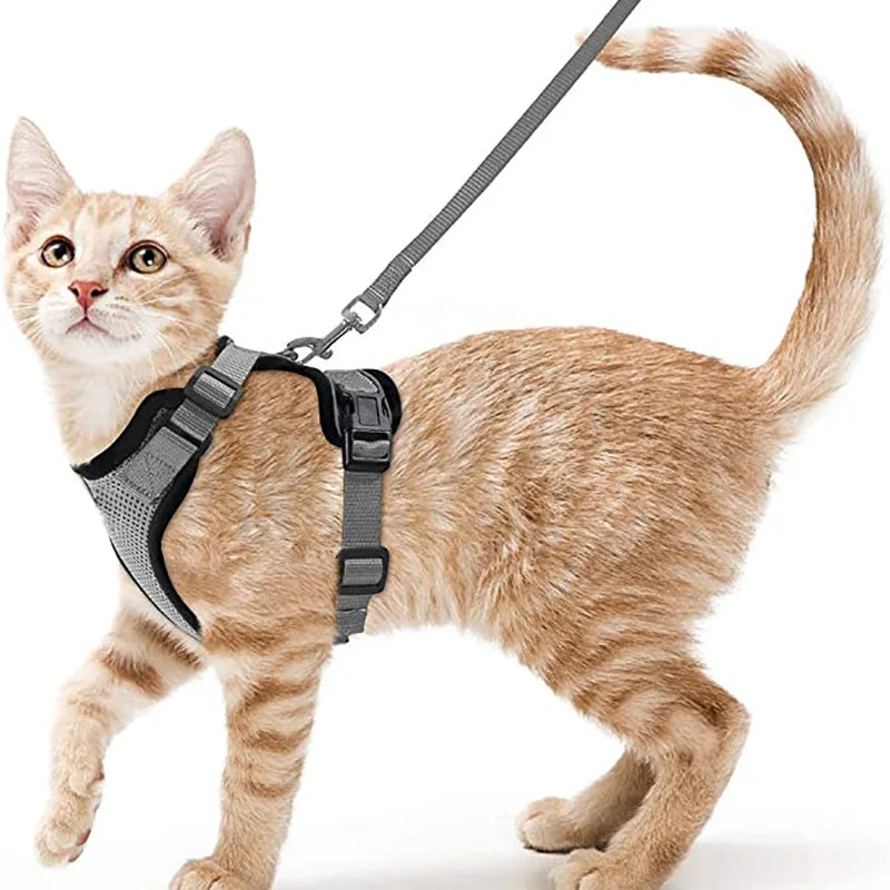 Escape-Proof Cat Harness & Leash Set — Soft Adjustable Vest for Easy Control