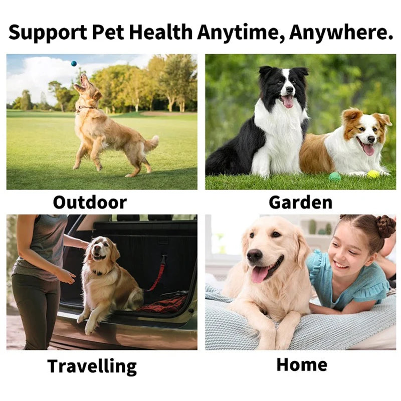 Disposable Finger Toothbrush Wipes — Dog & Cat Dental Cleaning Wipes