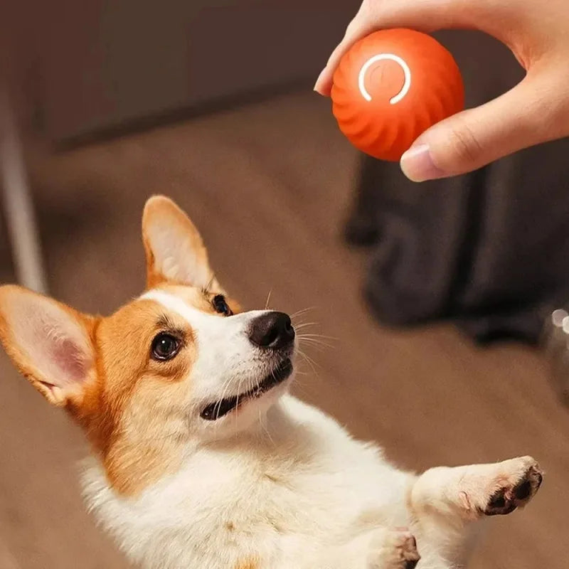 USB Rechargeable Bouncing Dog Ball — Automatic Interactive Chew Toy