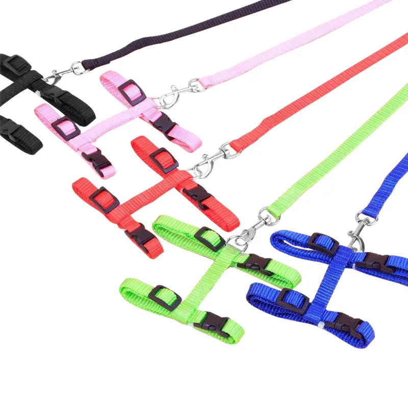 Cat Chest Harness Leash — Lightweight Chain-Style Lead for Cats