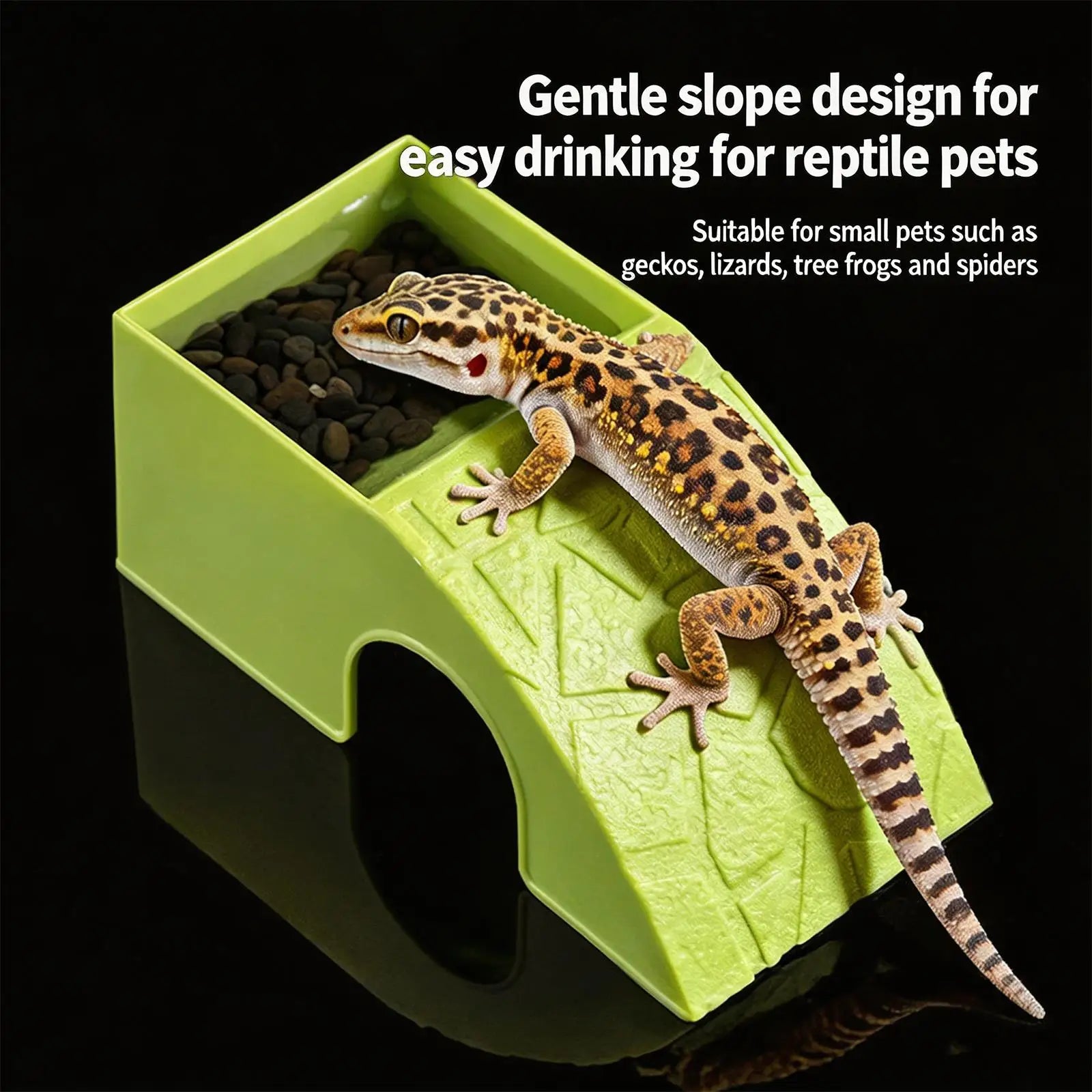 2-in-1 Reptile Hideout Bowl — Decorative Shelter & Water Dish for Geckos & Frogs