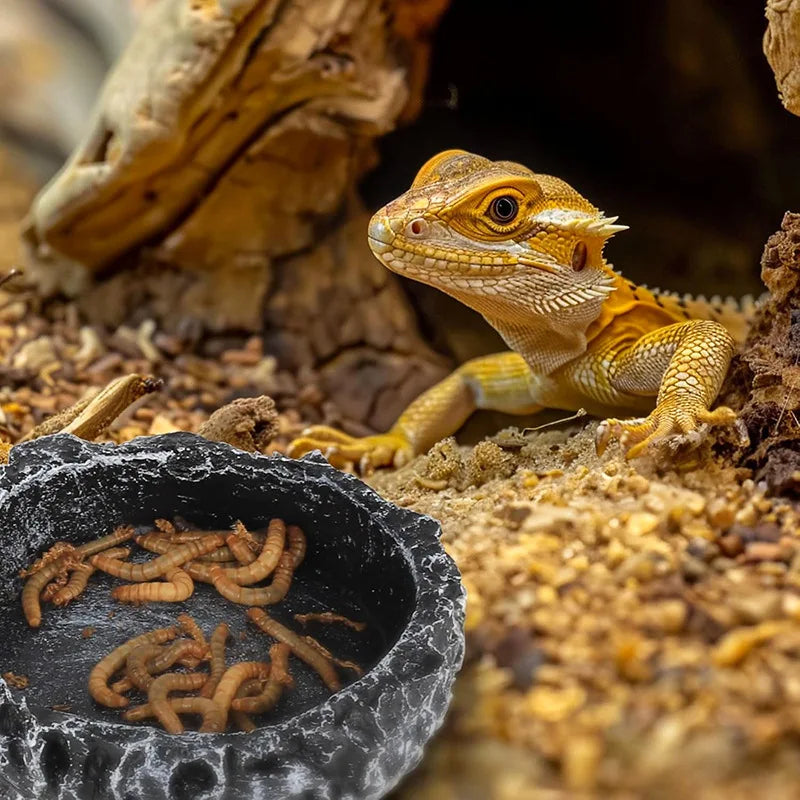 Stone-Texture Reptile Bowl — Food & Water Dish for Bearded Dragons
