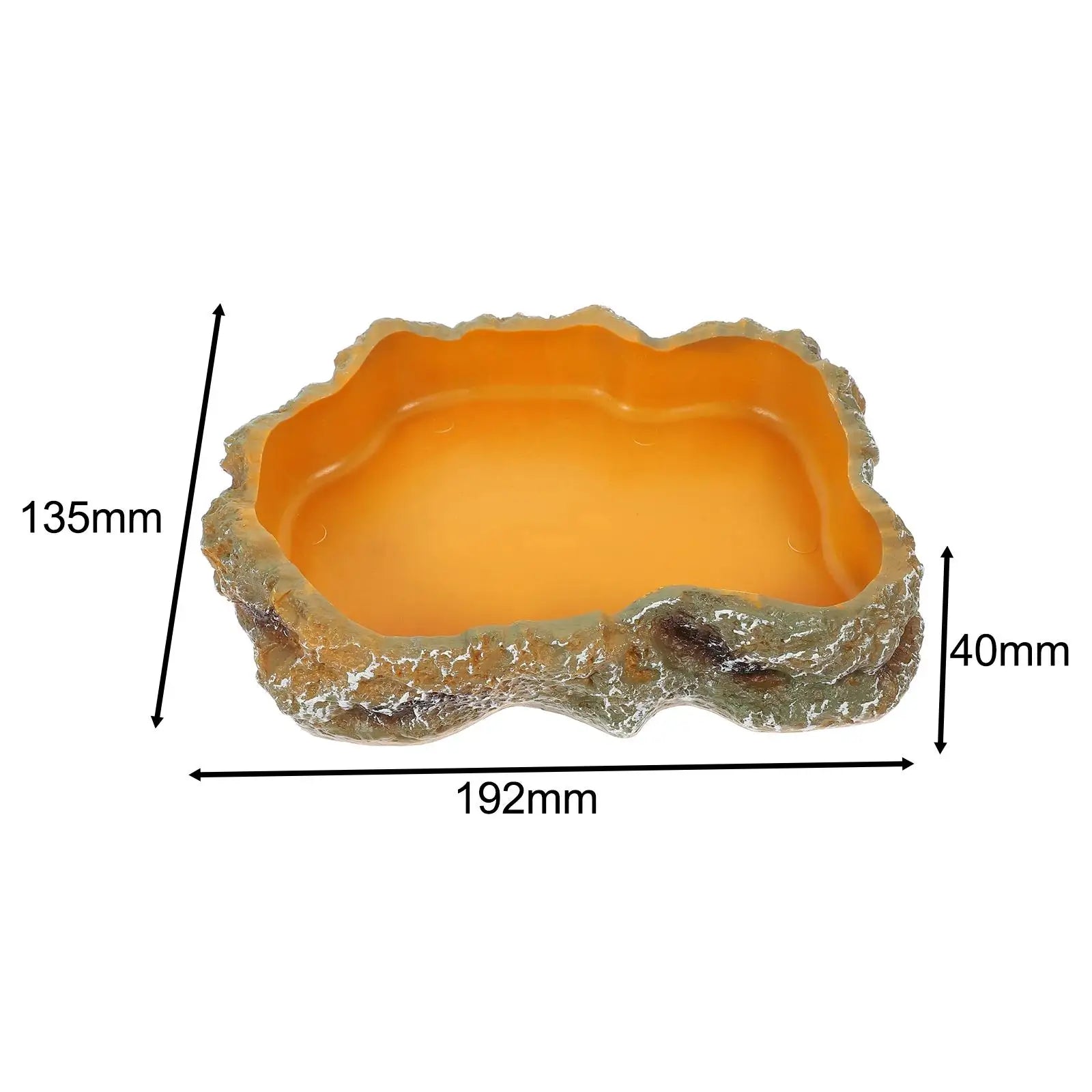 Reptile Water Bowl — Terrarium Feeding Dish for Frogs, Chameleons & Tortoises