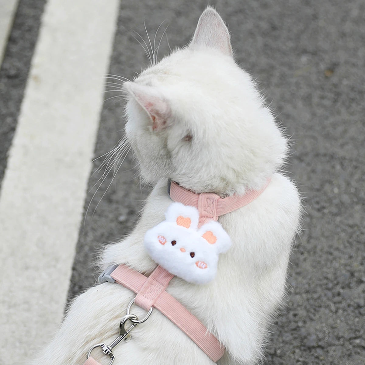 Cat & Dog Harness and Leash Set — Adjustable Breathable Walking Harness