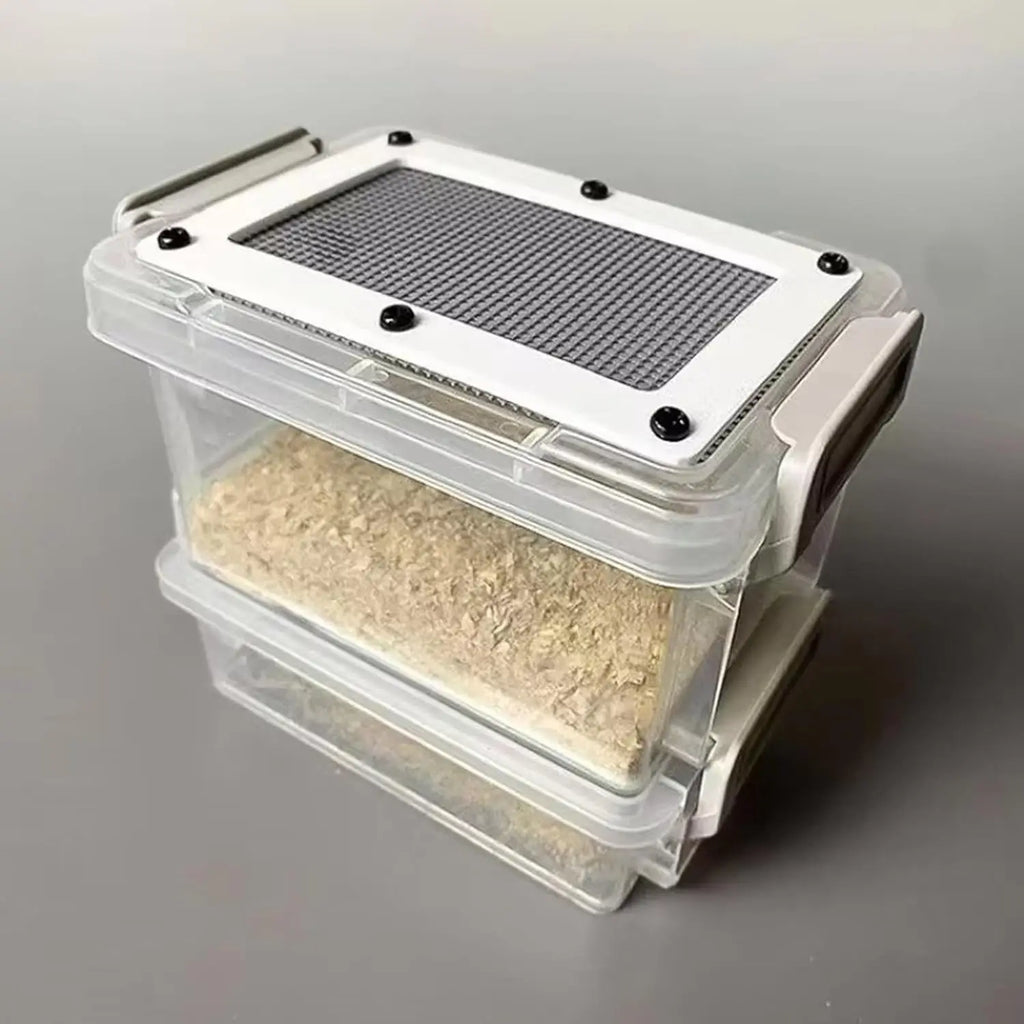 Acrylic Reptile Feeding Box — Clear Feeder Storage for Lizards & Chameleons