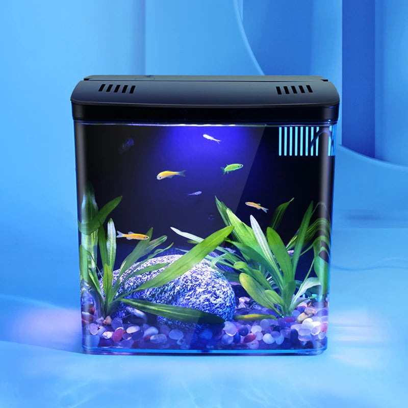 Self-Circulating Fish Tank — Tabletop Goldfish Tank with Built-In Filter