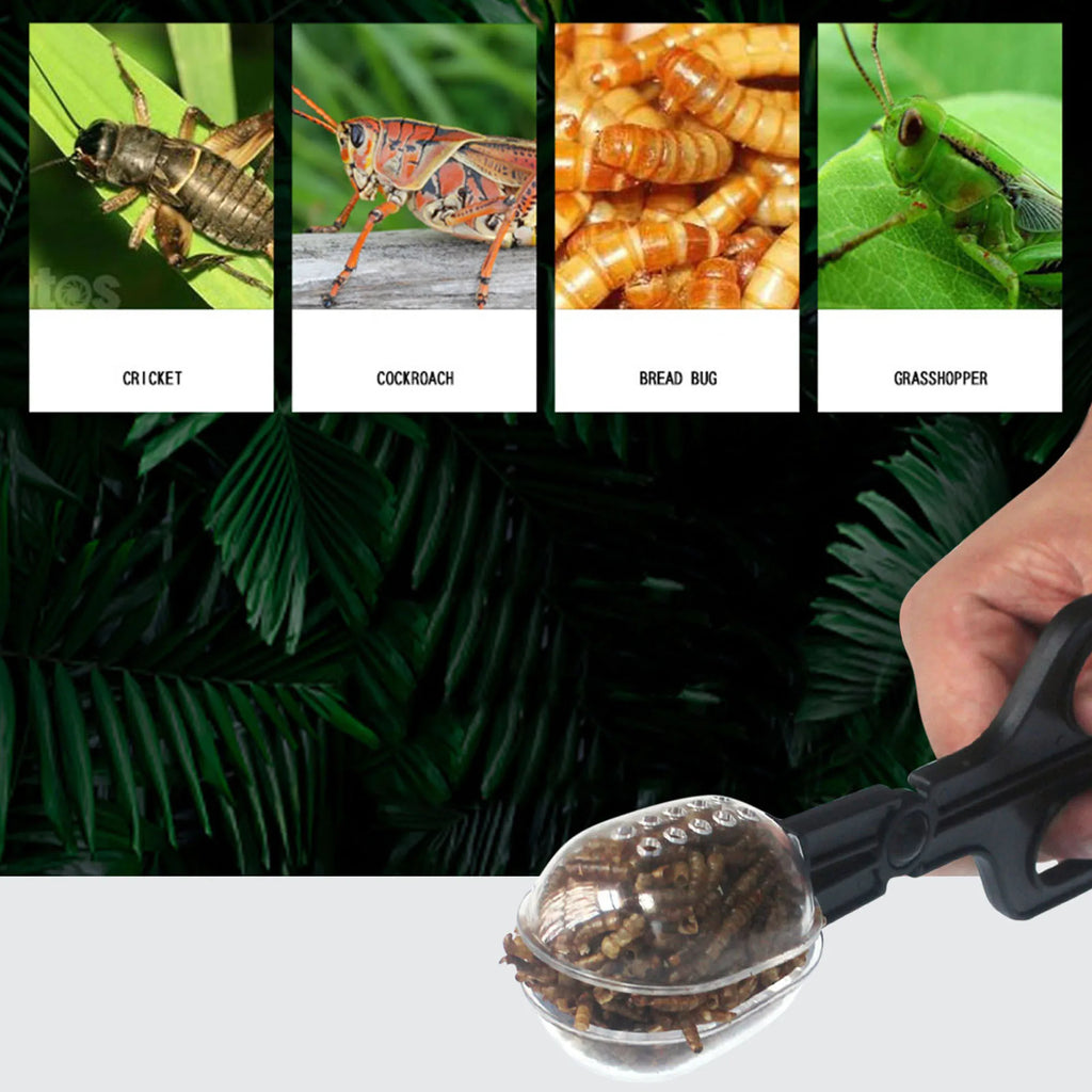 Reptile Feeding Tongs — Plastic Tweezers for Lizards, Frogs & Spiders