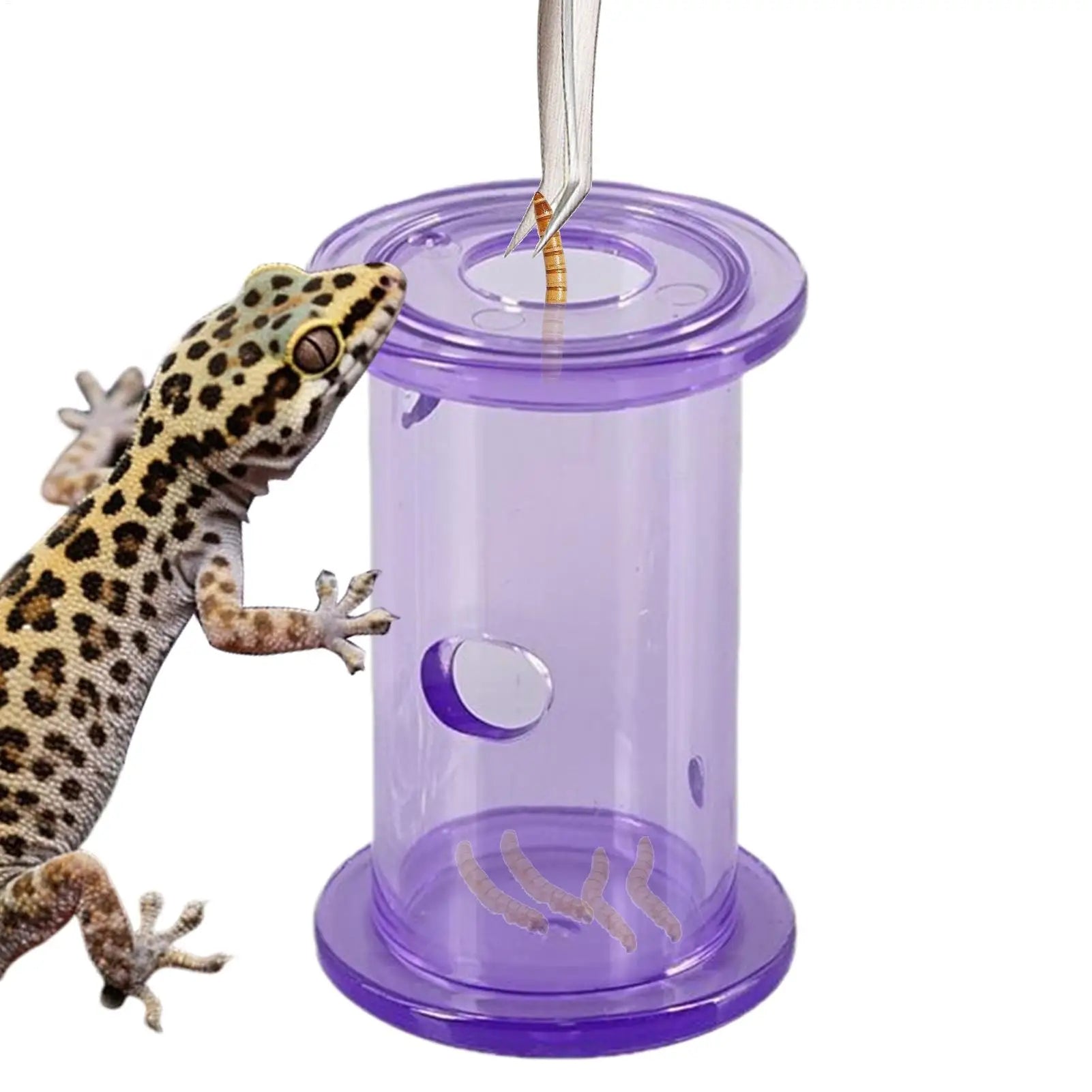 Rolling Slow Feeder Bowl — Foraging Toy for Reptiles, Geckos & Parakeets