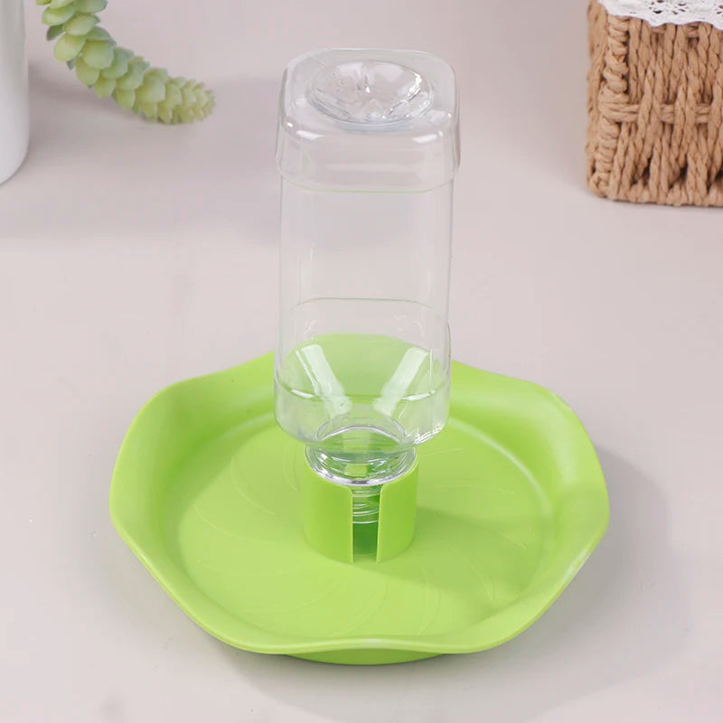 Round Reptile Water Bowl — Drinking Dish for Geckos, Lizards & Turtles