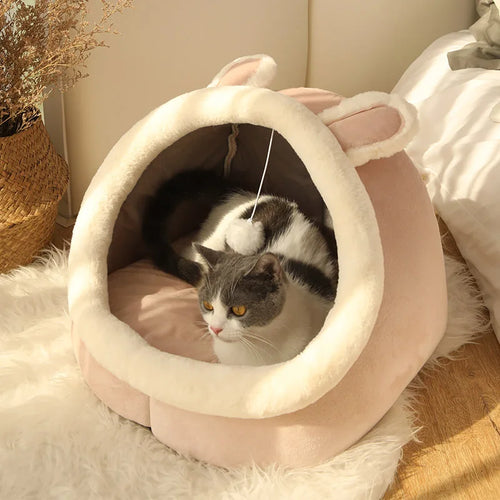 Cartoon Print Cat Bed — Foldable Washable Cave Bed for Small Pets