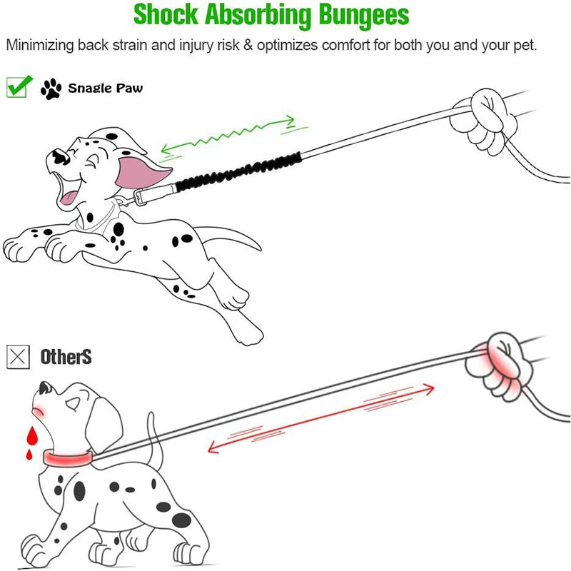 Adjustable Dog Leash Extension — Retractable Extender with Metal Buckle