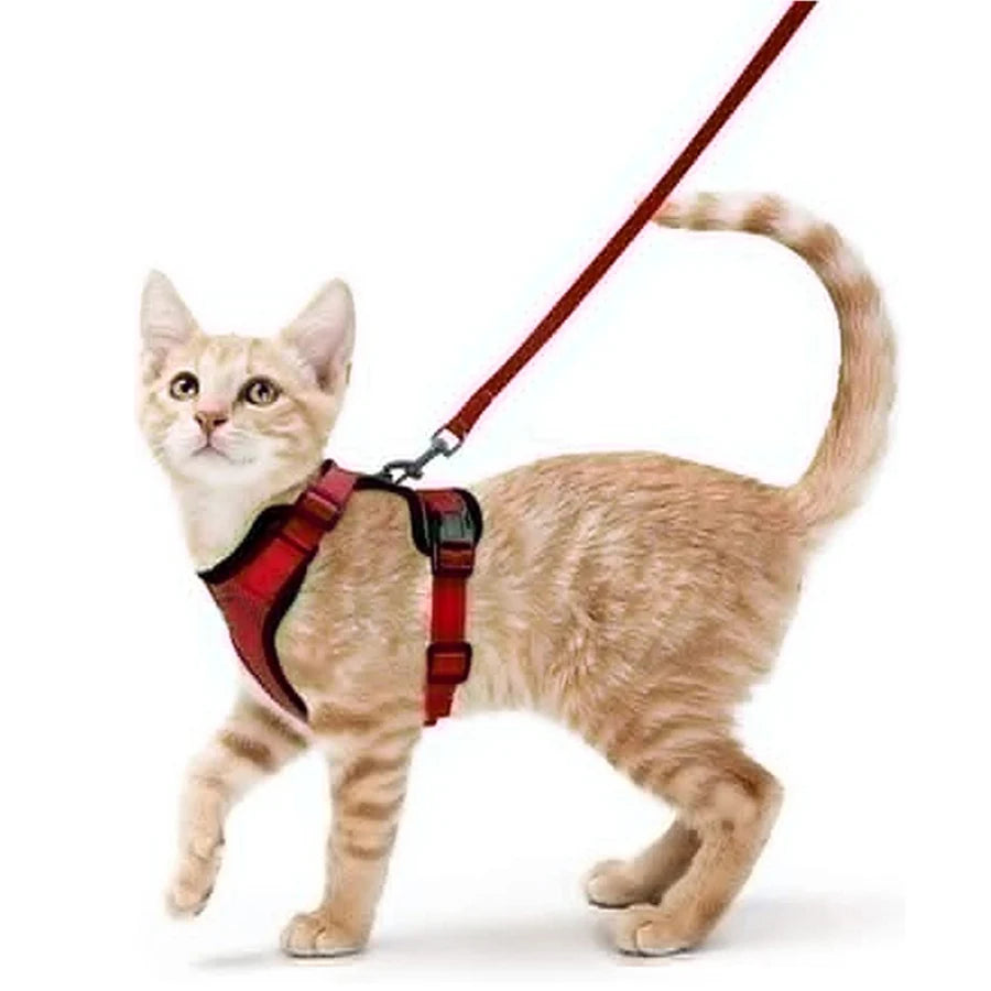Escape-Proof Cat Harness & Leash Set — Soft Adjustable Vest for Easy Control