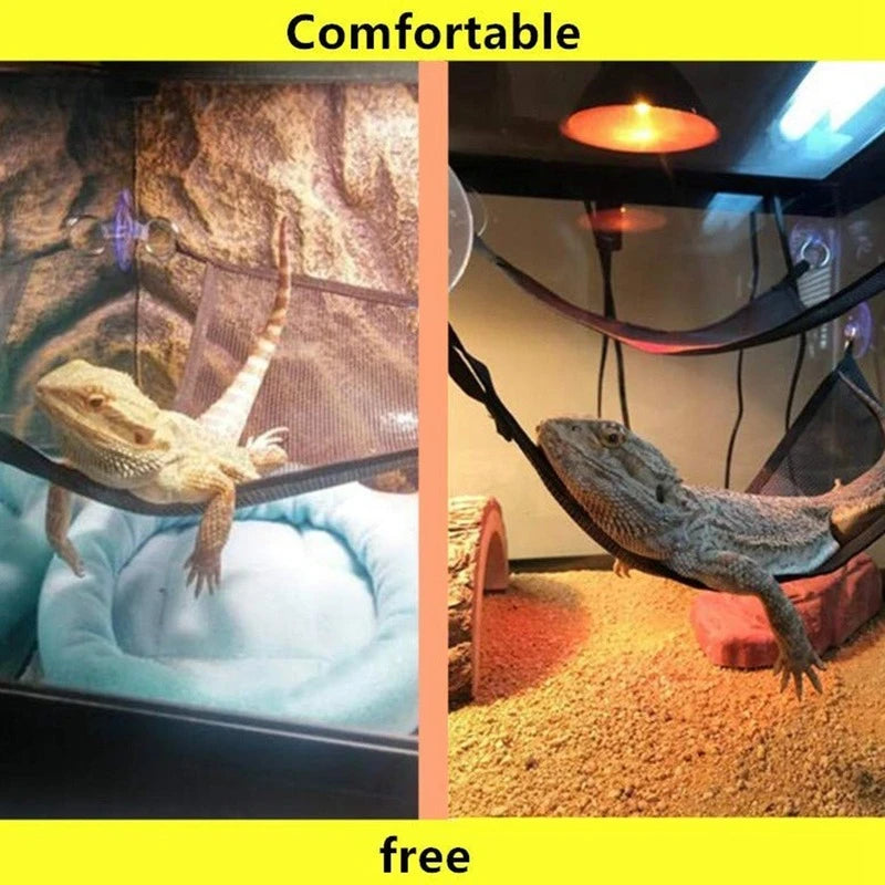 Reptile Hammock & Ladder Set — Lounging Accessories for Bearded Dragons & Geckos